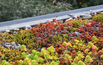 the cost of Lea Marston green roof installation