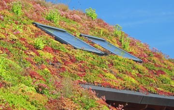 Lea Marston living roof systems